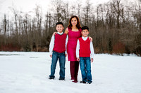 0004_TRIEU FAMILY XMAS 2016
