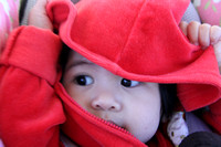 Photos