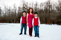 0003_TRIEU FAMILY XMAS 2016