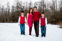 0007_TRIEU FAMILY XMAS 2016